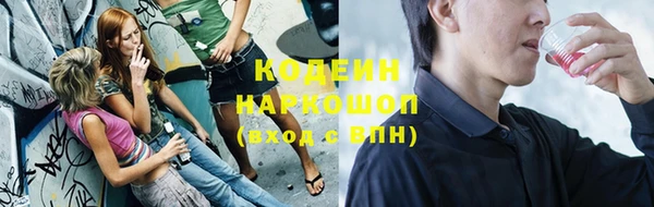 2c-b Новозыбков