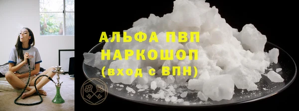 прущие грибы Новокубанск