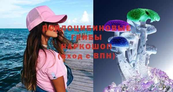прущие грибы Новокубанск