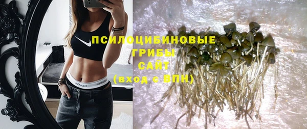 прущие грибы Новокубанск