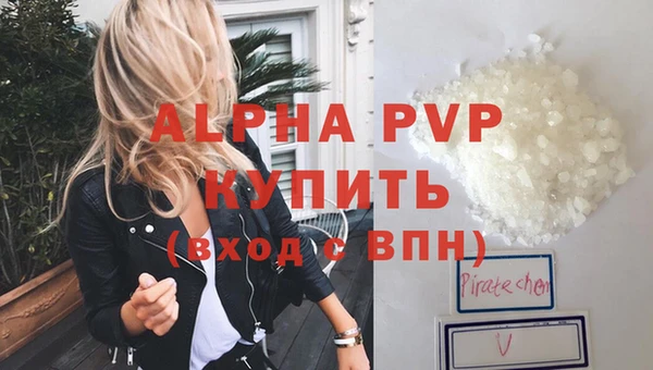прущие грибы Новокубанск
