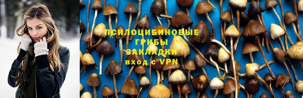 2c-b Новозыбков
