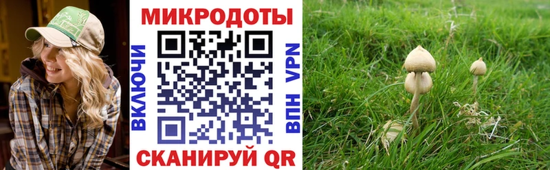 omg маркетплейс  Калининец  Псилоцибиновые грибы Psilocybe 
