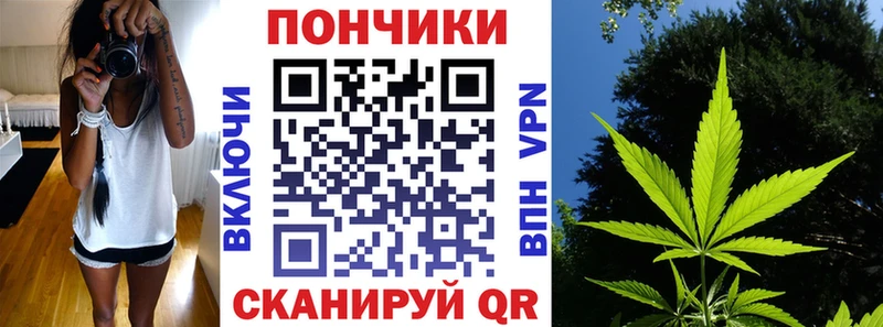 Конопля марихуана  купить наркотики сайты  Калининец 